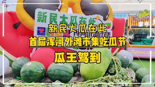 吃瓜王第三季全集免费,揭秘娱乐圈风云,免费观看全集大揭秘  第2张 吃瓜王第三季全集免费,揭秘娱乐圈风云,免费观看全集大揭秘  第2张